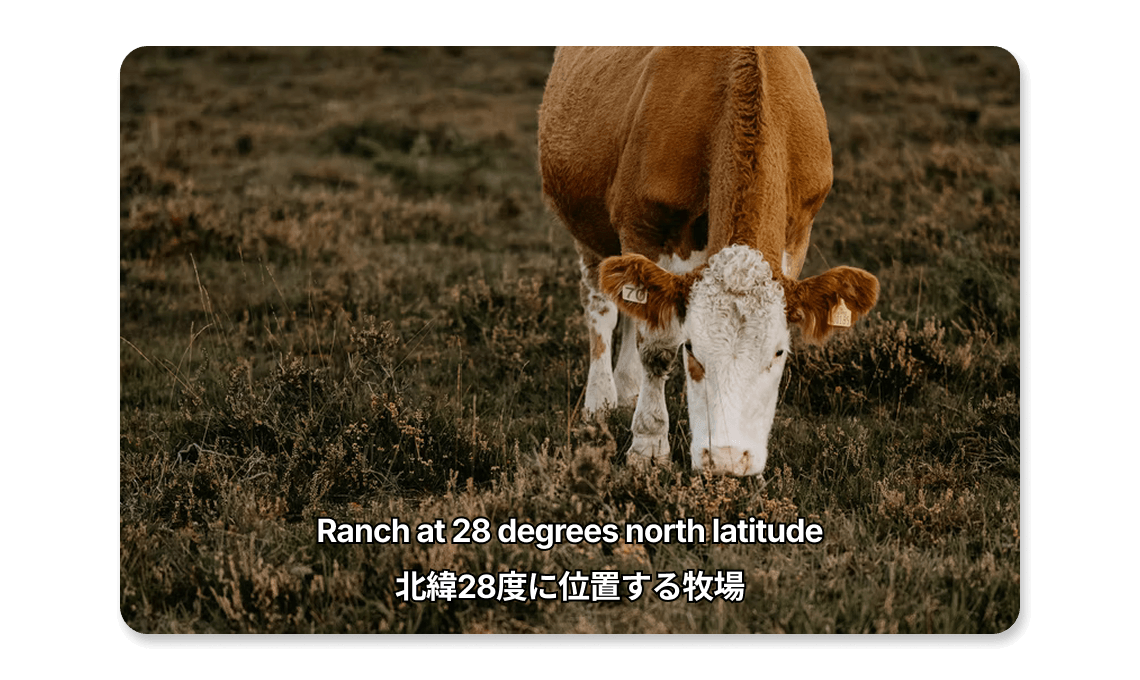 Illustration — Bilingual captions