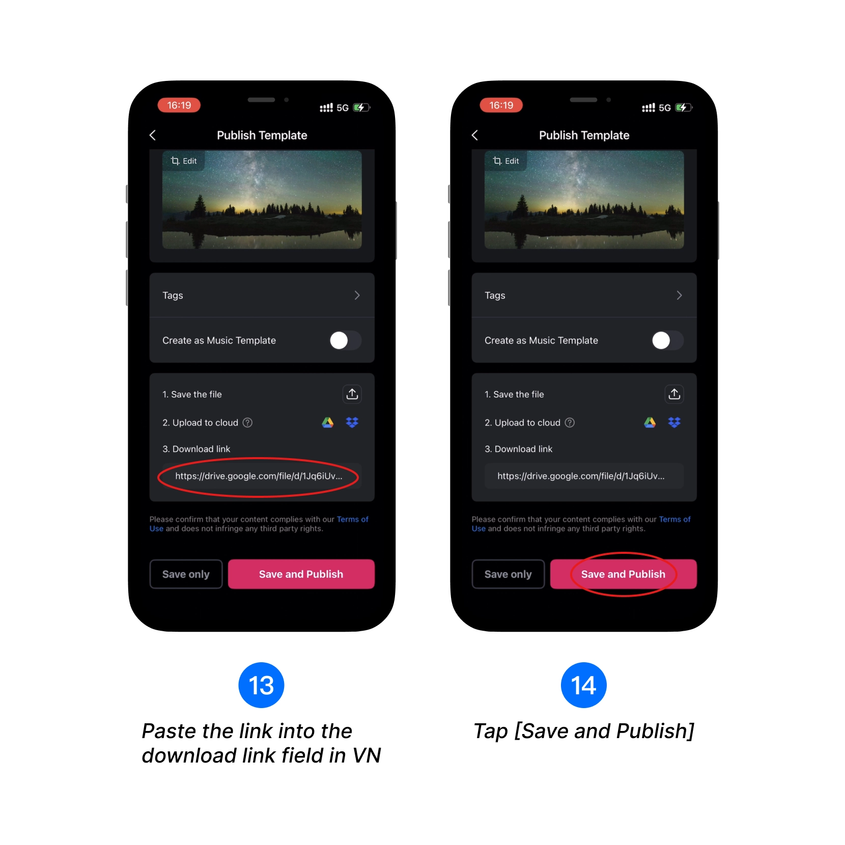 Paste the link into the download link field in VN, Tap [Save and Publish]