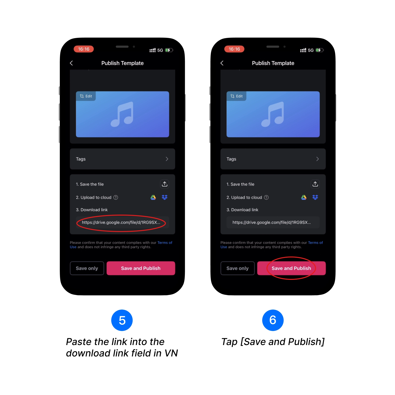 Paste it into the download link field in VN, Tap [Save and Publish] button