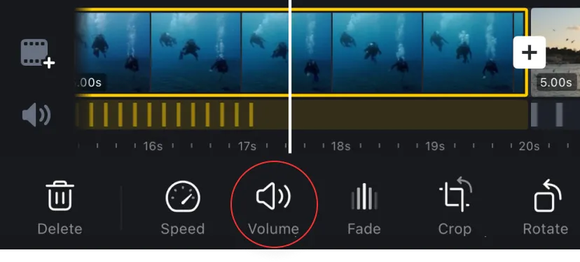 Adjust Video Volume and BGM Volume