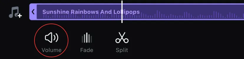 Adjust the music clip volume