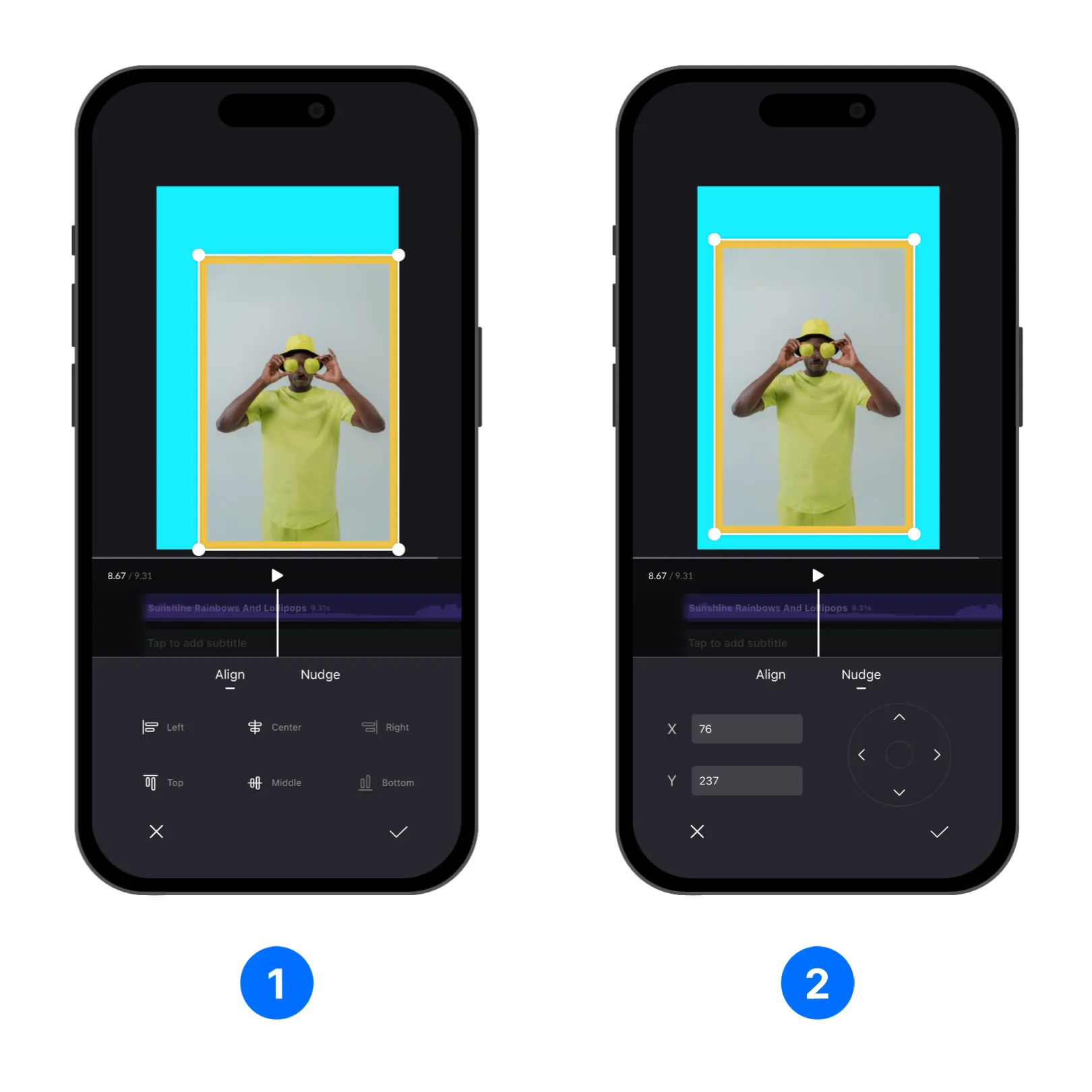 Position Alignment and Nudge Controls