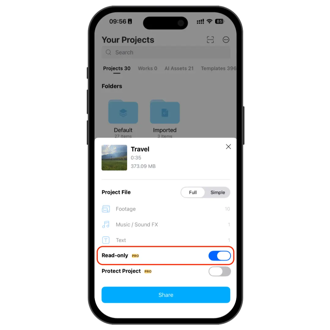 Turn on Read-only before sharing a project